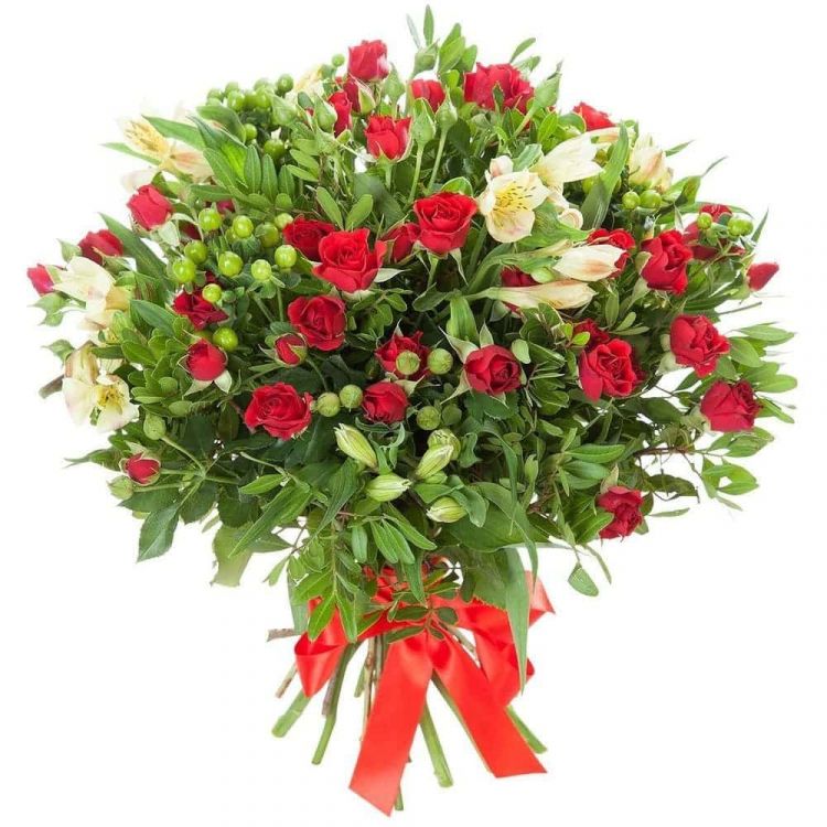 Алый бриз от 5 350 руб.